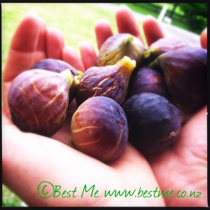 Recover fuel - Fresh figs at Appin Homestay